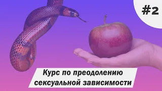 Что дает сексуальное воздержание? Мой опыт и советы. Как воздержание влияет на успех в жизни?