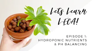 Let's Learn LECA | Ep. 1 - Hydroponic Nutrients & pH Balancing