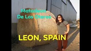 Yaya A in Matadeon De Los Oteros, Leon Spain