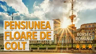 Pensiunea Floare de Colt hotel review | Hotels in Borsec | Romanian Hotels