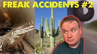 Man Vs. Cactus and More Unfortunate Freak Accidents! TikTok Compilation!