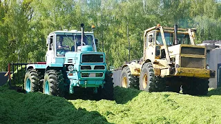 K700 | T-150K | Fortschritt ZT 303 | Siloeinsatz auf der LPG  ▶ Agriculture Germanyy