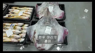 2024년 04월 30일 13물때 목포수협 위판장 현황!!