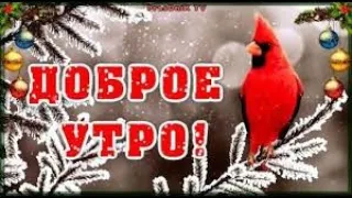 Доброе утро! Музыкальная открытка с добрым утром. С добрым утром!