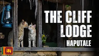 The Cliff Lodge, Haputale :The Most Remote Glamping Lodge in Sri Lanka..