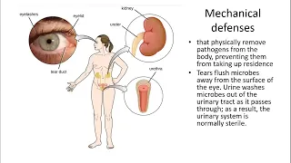 Introduction to Immunology