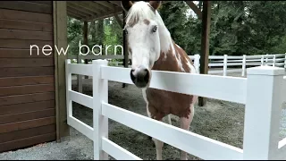 BARN VLOG | NEW BARN TOUR