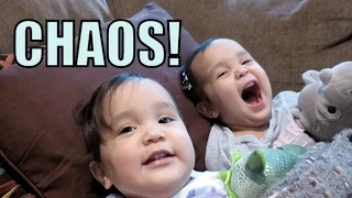 Our Daily CHAOS! - September 01, 2015 -  ItsJudysLife Vlogs