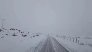 IFRANE MOROCCO SNOW 2020 #ATLAS #AMAZIGH #SNOW