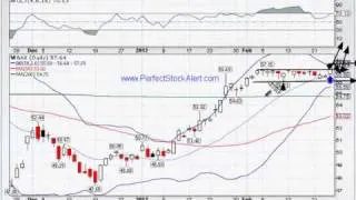 Stock Alert Video 02-24-2012