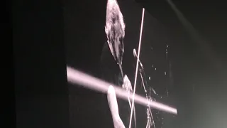 Band Intro/Wait For Her/Oceans Apart/Part of Me Died - Roger Waters Us+Them Monterrey 9/12/18