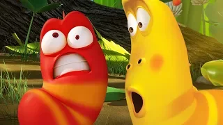 LARVA - LUCKY BUGS | Cartoon Movie | Cartoons | Comics | Larva Cartoon | LARVA Official