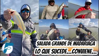 SALADA GRANDE DE MADARIAGA, LO QUE SUCEDE…CONVIENE…