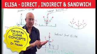 Elisa Test - Direct, Indirect & Sandwich