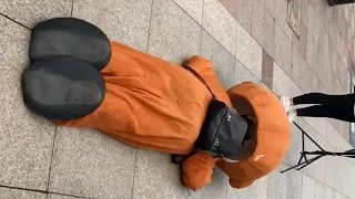 Lovely little bear everyday, TRY NOT TO LAUGH  !  Top Tik Tok memes in China,2020 P02