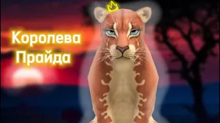 WildCraft Мини фильм «Королева прайда»