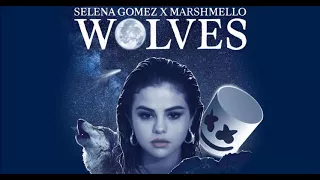 Selena Gomez - Wolves (Cover by Alex)