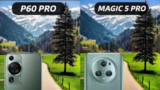 Huawei P60 Pro vs Honor Magic 5 Pro Camera Test