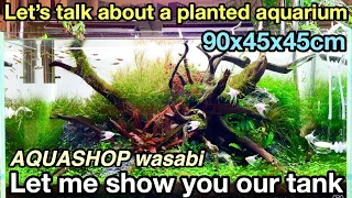 90cm Planted Aquarium tank“Let’s Talk About Aquatic Plant Aquariums!”AQUASHOP WASABI’s Aquariums ①