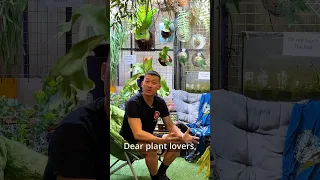 Rare and Exotic Plants of Indonesia | FLOII international plant show trailer