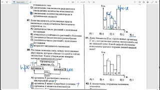 Экология 2 часть