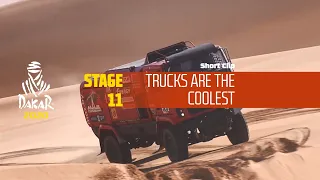 Dakar 2020 - Stage 11 - Cool truck