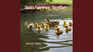 Duck's Swimming Together