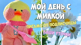 Летнее утро с уточкой Милкой! Поездка на дачу! Новое письмо от подписчицы! Ваши уточки!