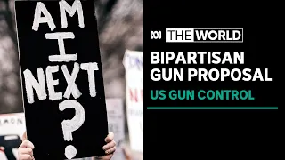 Bipartisan gun control legislation aimed at addressing US gun violence | The World