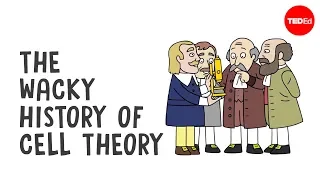 The wacky history of cell theory - Lauren Royal-Woods