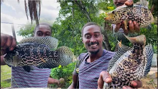 LOOK WHAT HAPPEN TO THESE MASSIVE JAGUAR CICHLID SLINGSHOT spearfishing