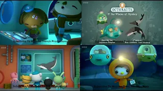 Octonauts & The Whales Of Mystery-Series5 Episode3-ENGLISH Full Episode-OVER 1Ksubs-READ DESCRIPTION