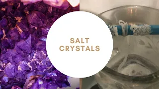 Salt Crystals Experiment