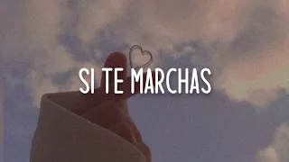 Si Te Marchas - Adolescent's Orquesta - Letra