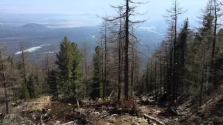 Исток каменной реки. Сель в п. Аршан