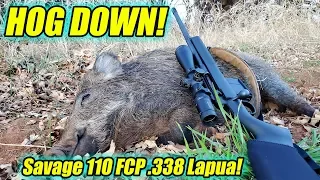 Hog Hunting with the Savage 110 FCP .338 Lapua!