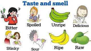Vocabulary: Taste and smell related Vocabulary | Daily use english Vocabulary and sentences