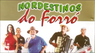 As Melhores Músicas de Nordestino do Forró - 39 Grandes Sucessos (Músicas Juninas - Seleção 2016)