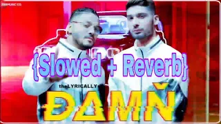 Damn | Raftaar Ft. KR$NA {Slowed + Reverb} | Mr. Nair