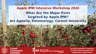 Major Pests Targeted by Apple IPM: Insects and Mites