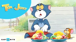 Raj lodowej rozkoszy | Tom i Jerry #NOWYODCINEK | Kreskówki dla dzieci | Cartoonito