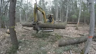 Clearing land for a house