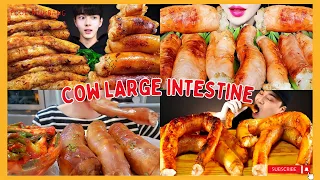 DAECHANG Cow Intestine Mukbang Compilation | Large Beef Intestine |  Mukbang ASMR