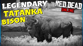 Legendary Tatanka Bison All Locations RDR2 Online