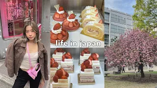 LIVING IN JAPAN 🍰 best strawberry shortcakes, japanese desserts, night out in shinjuku!