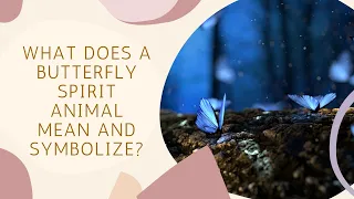 What Does a Butterfly Spirit Animal Mean and Symbolize?