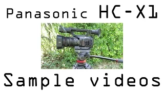 Panasonic HC-X1 sample footage