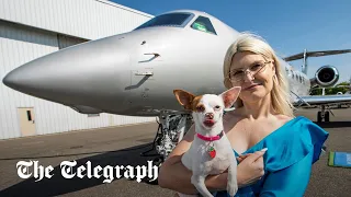 'Dog-first' airline Bark Air takes off for maiden flight across the US