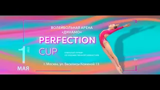 Открытый клубный турнир по художественной гимнастике «PERFECTION CUP» 01.05.22