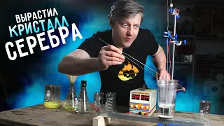 🔥 КРИСТАЛЛЫ из чистого СЕРЕБРА своими руками